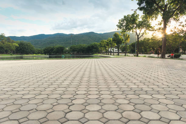 Best Brick Driveway Pavers  in Milton, DE